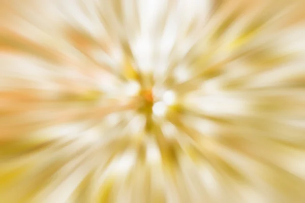 Gold christmas lights background. Blurry — Stock Photo, Image