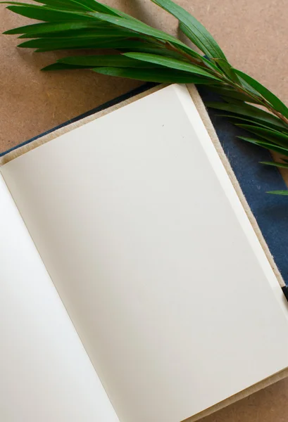 Blank book  open with grass — Stock Photo, Image