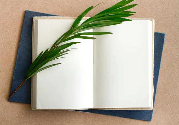 Blank book  open with grass — Stock Photo, Image