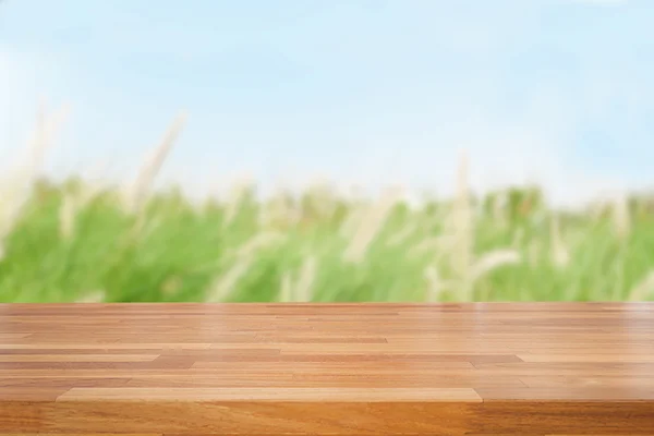 Empty wooden table and green nature background — Stock Photo, Image
