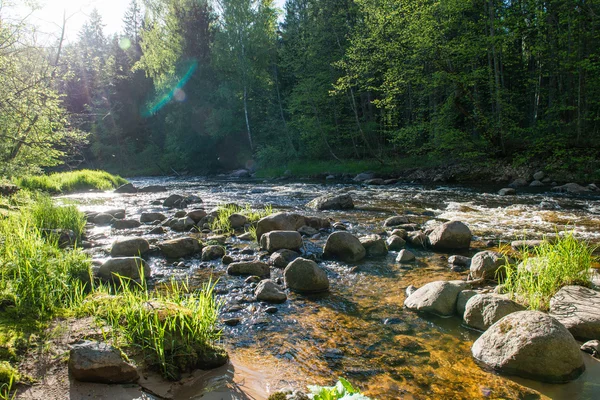 Літня річка з роздумами — стокове фото