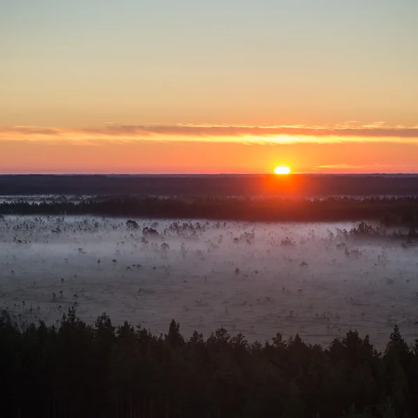 Dimmig färgglada morgon över fälten — Stockfoto