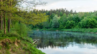 Yaz nehir yansımaları ile