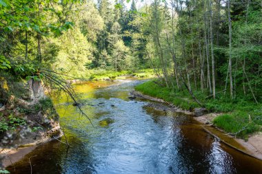 Yaz nehir yansımaları ile