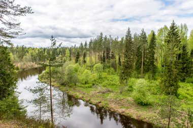 Yaz nehir yansımaları ile