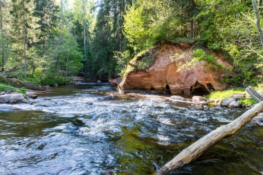Yaz nehir yansımaları ile
