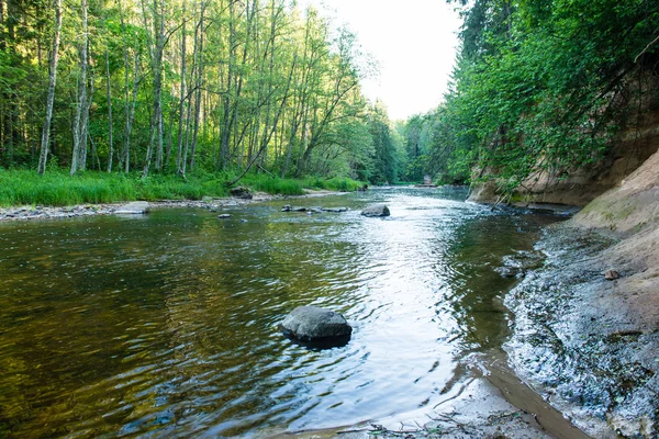 Fiume estivo con riflessi — Foto Stock