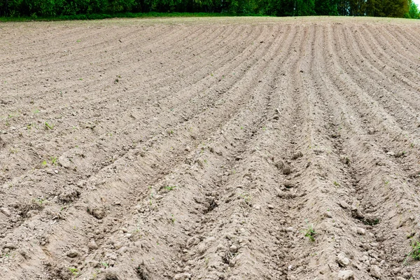 Antecedentes del nuevo campo arado listo para nuevos cultivos — Foto de Stock