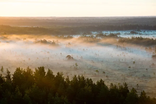 Niebla colorida mañana sobre los campos — Foto de Stock