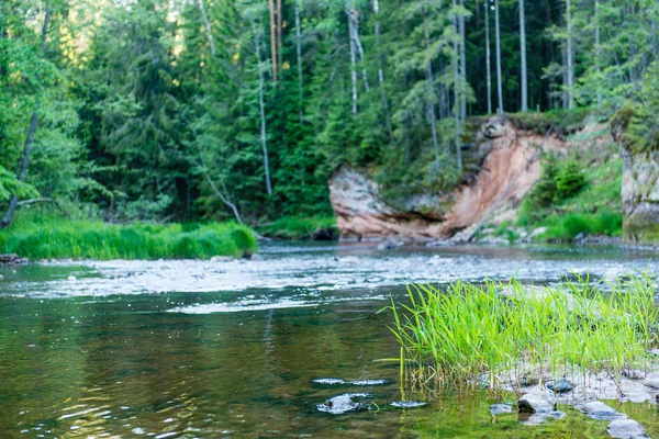 Летняя река с отражениями — стоковое фото