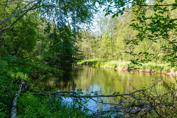 Fiume estivo con riflessi — Foto Stock