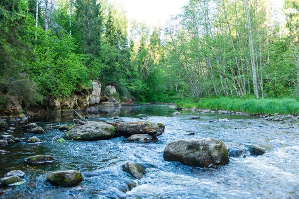 Літня річка з роздумами — стокове фото