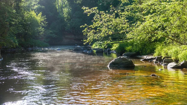 Yaz nehir yansımaları ile — Stok fotoğraf