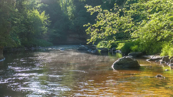 Sommerfluss mit Spiegelungen — Stockfoto