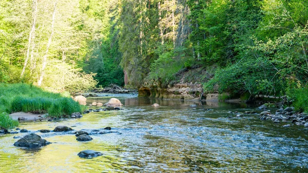 V létě řeka s odrazy — Stock fotografie