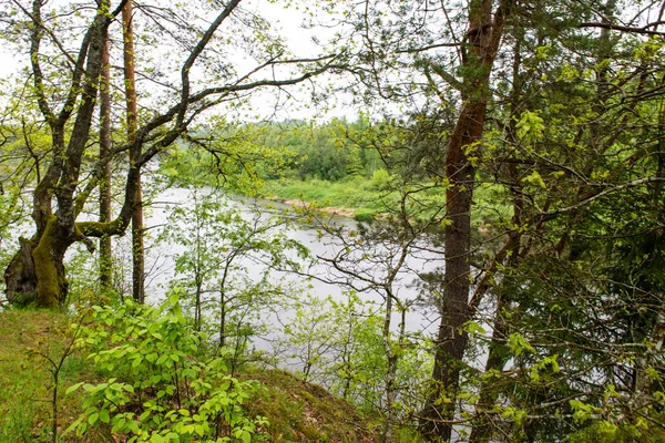 Fiume estivo con riflessi — Foto Stock