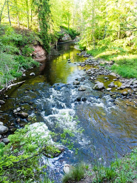 V létě řeka s odrazy — Stock fotografie