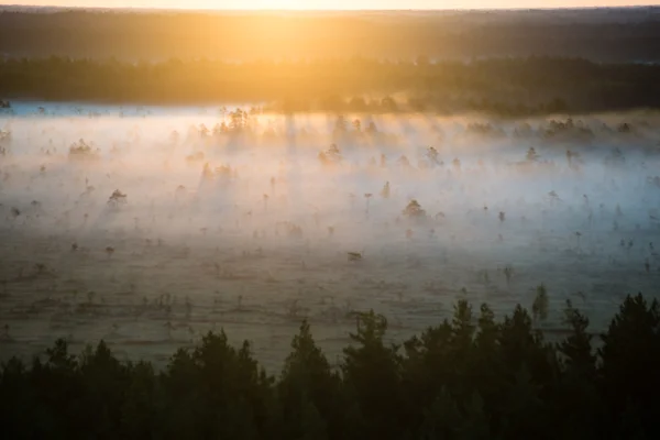 Niebla colorida mañana sobre los campos — Foto de Stock