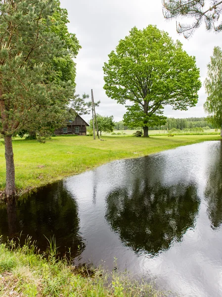 Landhaus mit Teich und Eichen mit Teich — Stockfoto