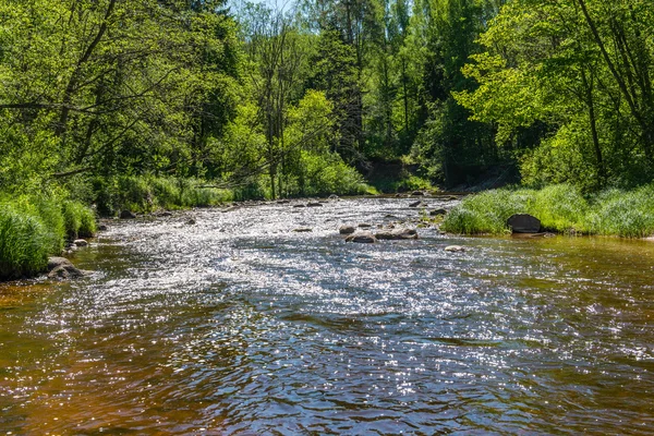 Літня річка з роздумами — стокове фото