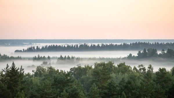 Mglisty poranek kolorowy powyżej pola — Zdjęcie stockowe