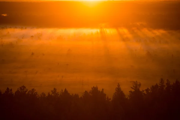 Niebla colorida mañana sobre los campos — Foto de Stock