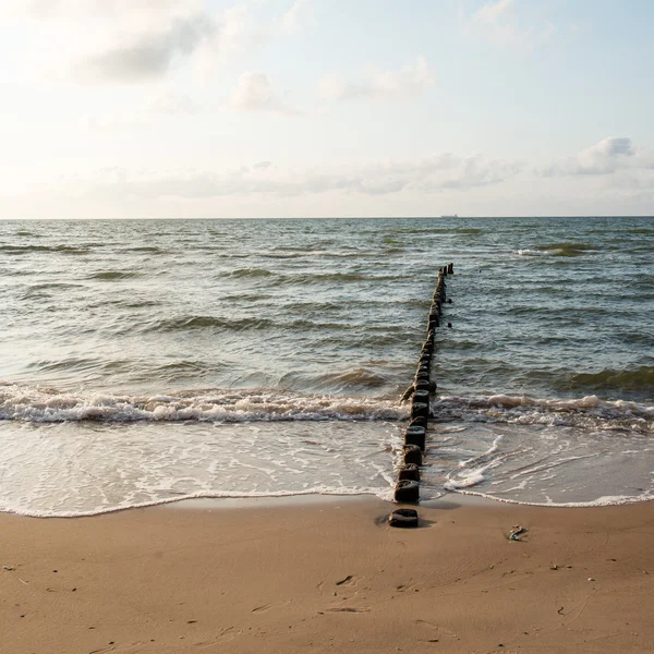 Falochron jednego wiersza drewnianych słupów na wybrzeżu Morza — Zdjęcie stockowe