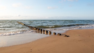 Breakwater of one row of wooden poles at the Sea coast clipart