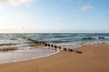 Dalgakıran deniz sahilinde ahşap direkleri bir satır