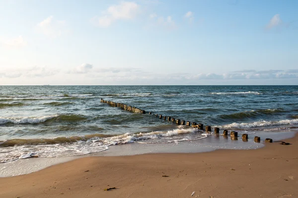 Falochron jednego wiersza drewnianych słupów na wybrzeżu Morza — Zdjęcie stockowe