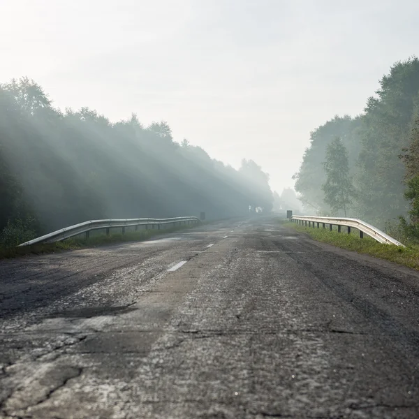 光线在雾的道路上 — 图库照片