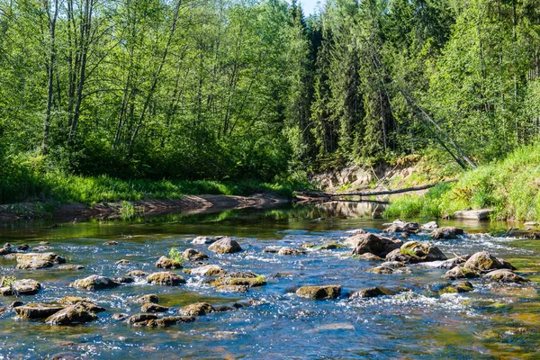 Sommerfluss mit Spiegelungen — Stockfoto