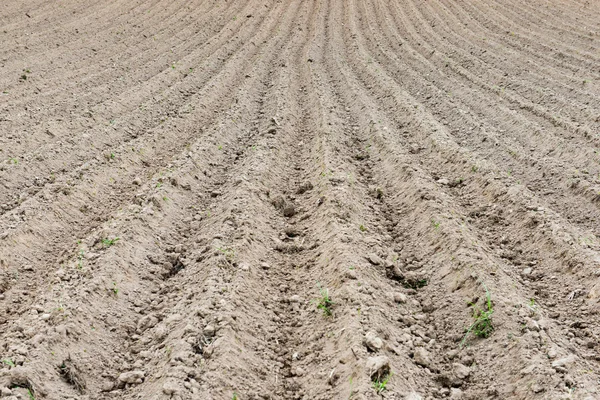 Bakgrund av nyligen plöjt fältet redo för nya grödor — Stockfoto