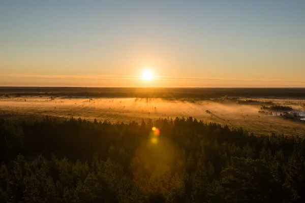 Mlhavé ráno barevné nad poli — Stock fotografie