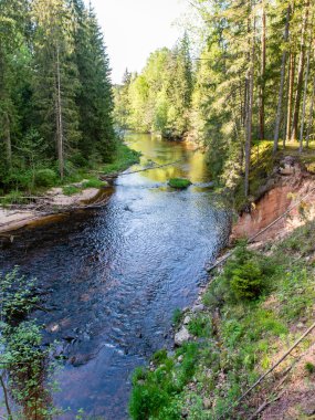 Yaz nehir yansımaları ile