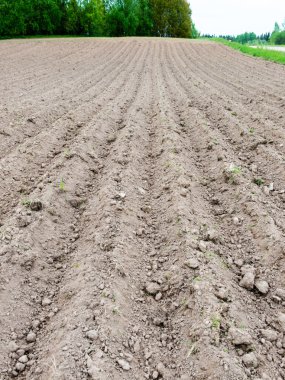 yeni bitkiler için hazır yeni sürülmüş alanının arka plan