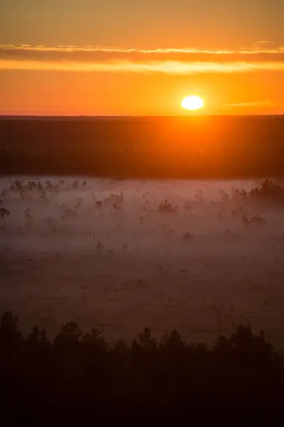 Mistige kleurrijke ochtend boven velden — Stockfoto
