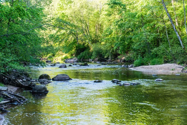 Літня річка з роздумами — стокове фото