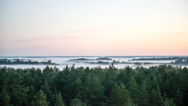 Dimmig färgglada morgon över fälten — Stockfoto