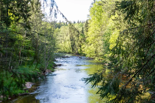 Sommerfluss mit Spiegelungen — Stockfoto