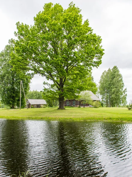 Hus med damm och Ek träd med damm — Stockfoto