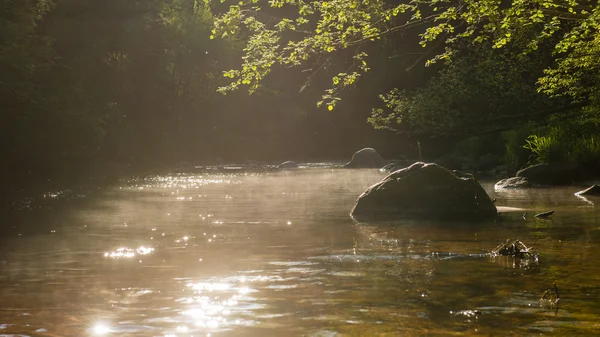 Sungai musim panas dengan refleksi — Stok Foto