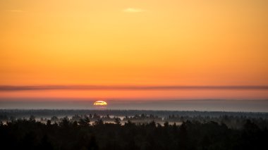 sis ormanda üzerinden günbatımı