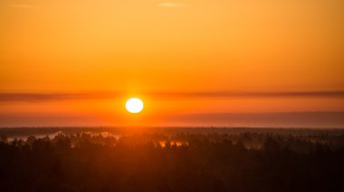 sis ormanda üzerinden günbatımı