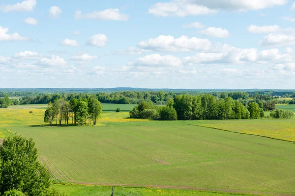 Вид с воздуха на сельскую местность Латвии — стоковое фото