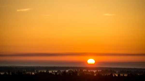 Por do sol sobre a floresta no nevoeiro — Fotografia de Stock