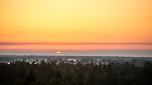 Zachód słońca nad lasem we mgle — Zdjęcie stockowe