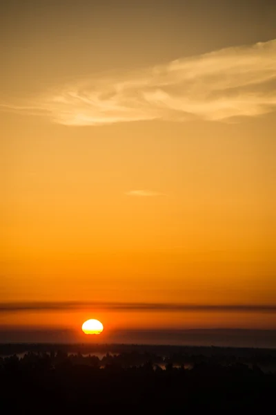 Sonnenuntergang über dem Wald im Nebel — Stockfoto