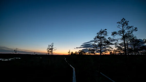 Coucher de soleil sur la forêt dans le brouillard — Photo