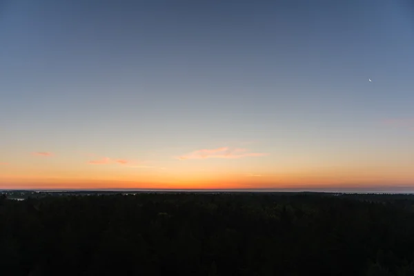 Por do sol sobre a floresta no nevoeiro — Fotografia de Stock